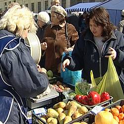 МОСОПОРА открывает горячую линию по нарушениям на ярмарках выходного дня